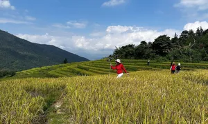 48 giờ ở Bình Liêu 48 giờ ở Bình Liêu