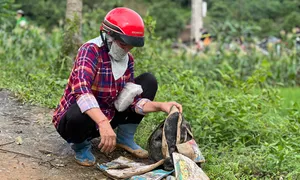 Lập sổ tiết kiệm cho trẻ mồ côi do bão Yagi