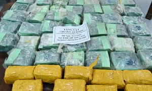 Lô ma túy hàng chục tỷ đồng trên xe máy Lô ma túy hàng chục tỷ đồng trên xe máy