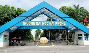 Giáo sư về trường Đại học Hải Phòng được hỗ trợ 500 triệu đồng