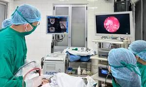 Viêm mũi dị ứng Viêm mũi dị ứng