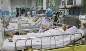 Não mô cầu có thể gây tử vong trong 24 giờ Não mô cầu có thể gây tử vong trong 24 giờ
