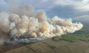 Khói cháy rừng bao phủ nhiều khu vực ở Mỹ, Canada, lan sang châu Âu
